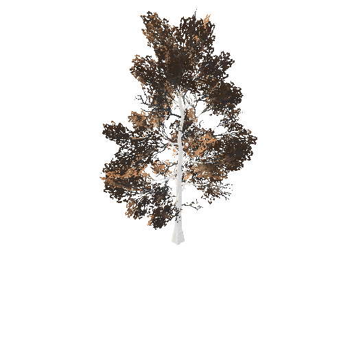 BeecthTree05Fall_afsTREE_xmvcb _xlod00_xlp_1